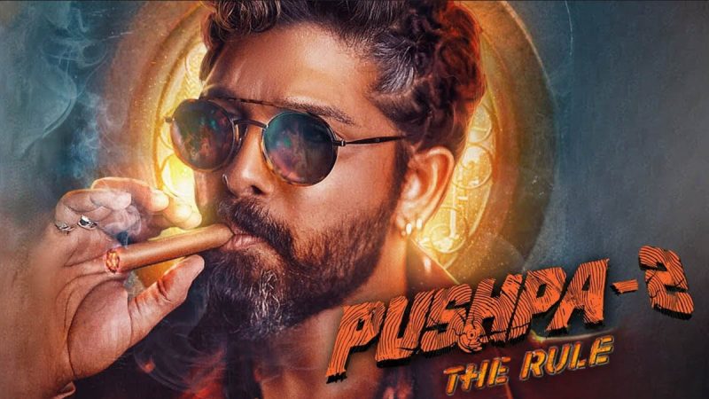 Pushpa 2: The Rule Full Movie Hindi Dubbed Confirm Release 2024